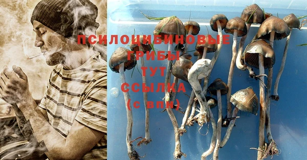 бутик Бородино