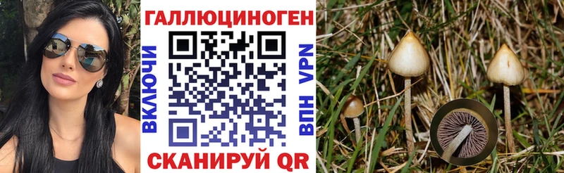 Галлюциногенные грибы мицелий  Купить закладки  Одинцово 
